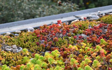 the cost of Chettiscombe green roof installation