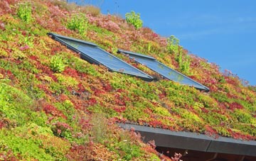 Chettiscombe living roof systems