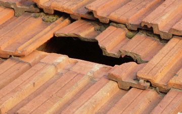 roof repair Chettiscombe, Devon